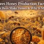 Bees Honey Production Facts: How Bees Make Honey & Why It Matters
