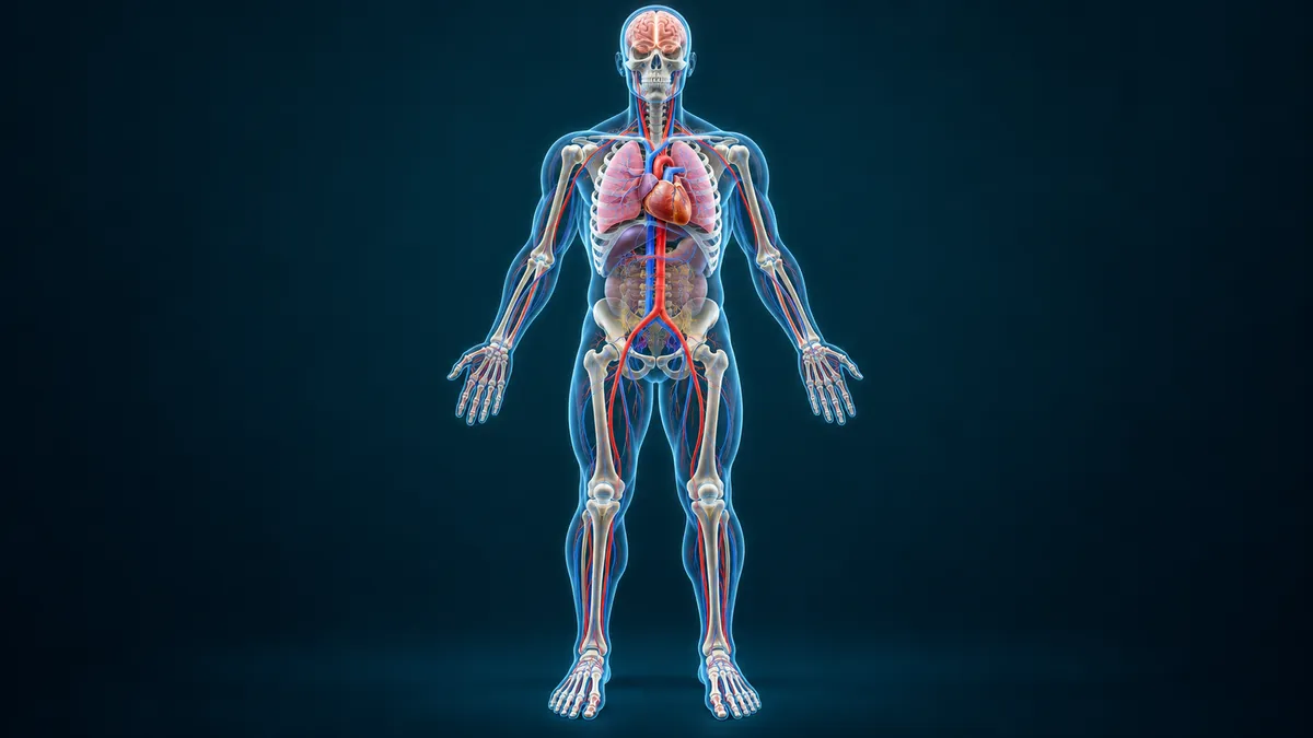 30 Random Facts About the Human Body That Sound Unreal (But Are True)
