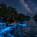 Bioluminescent Bays: What Makes Them Glow and Where to See Them
