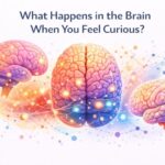 Curiosity and the Brain: What Happens When You Feel Curious?