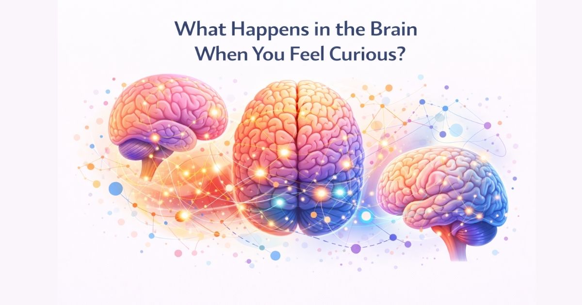 Curiosity and the Brain: What Happens When You Feel Curious?