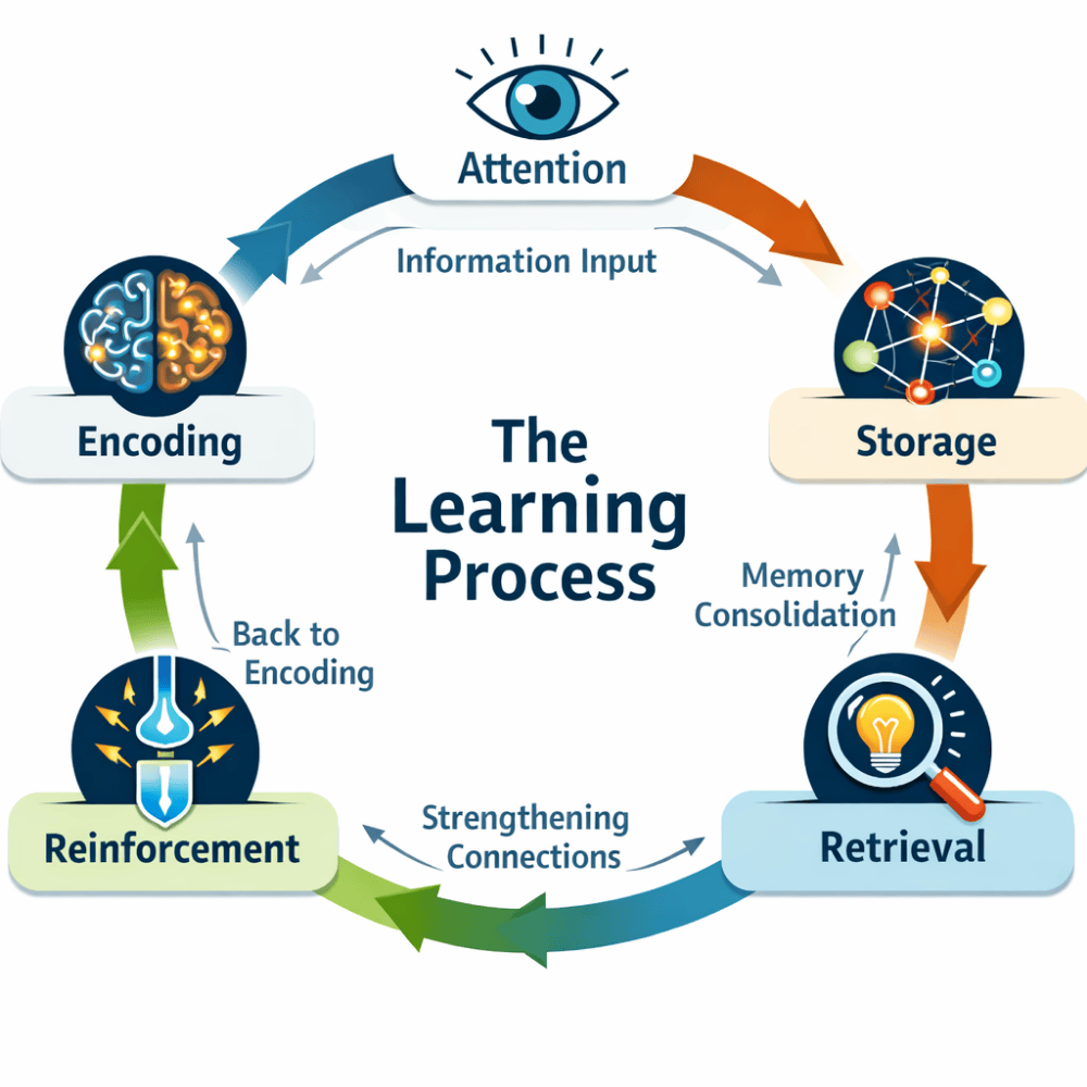 Diagram explaining the learning process including encoding, storage, and retrieval in effective learning strategies