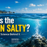 Why Is the Ocean Salty? The Real Science Behind It