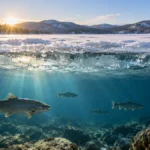 What Would Happen If Ice Didn’t Float?